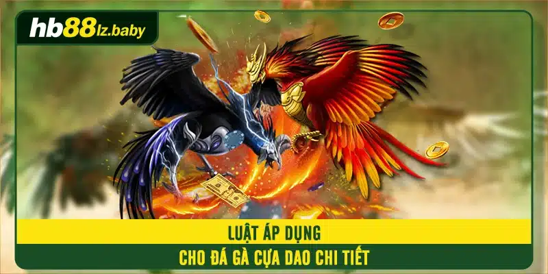 Luật áp dụng cho đá gà cựa dao chi tiết