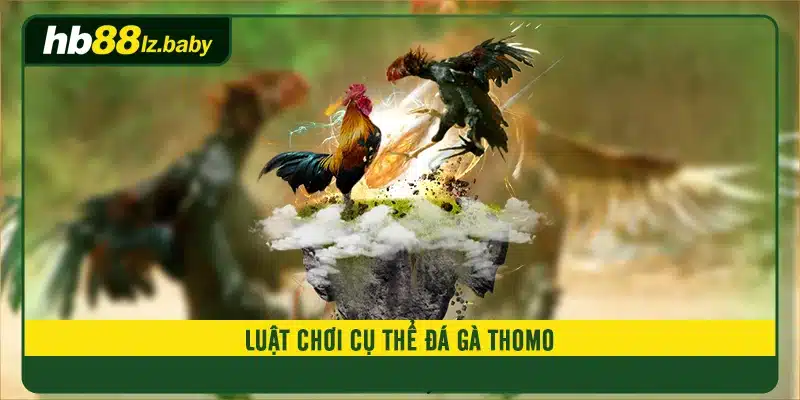 Luật chơi cụ thể đá gà thomo