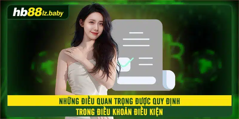 Những điều quan trọng được quy định trong điều khoản điều kiện